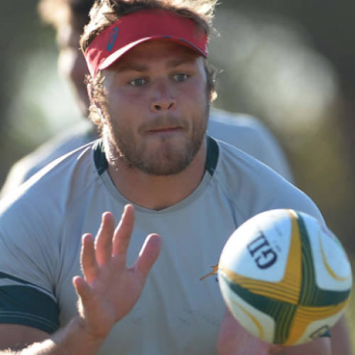 Vermeulen ruled out of French series