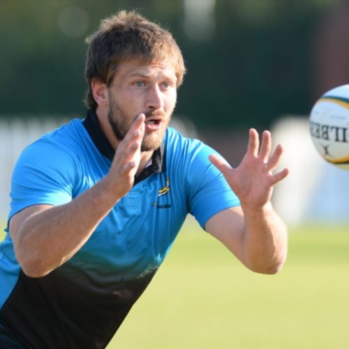 French-based players to boost Boks