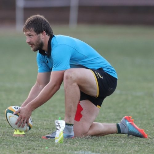 Steyn, Reinach in Bok alignment camp