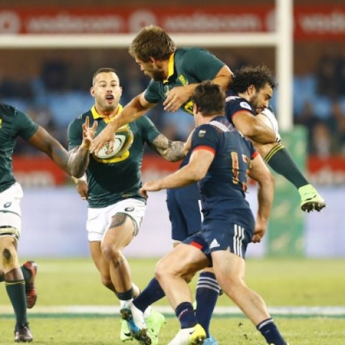 Steyn can revive Bok career