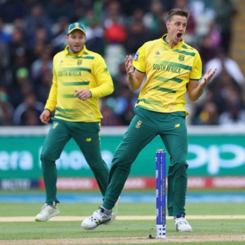 Morkel getting back to his best