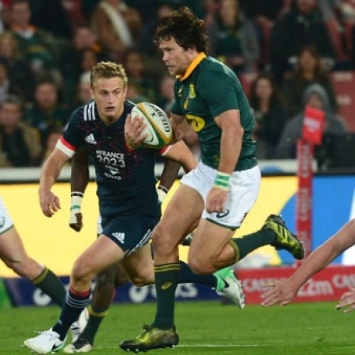 Serfontein stars as Boks bash France