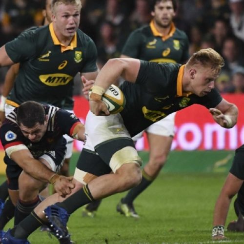 Du Preez set to start for Springboks