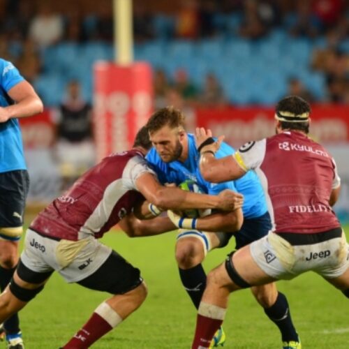 Super Rugby preview (Round 15)