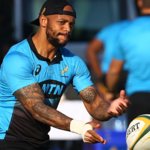 Mapoe in Bok midfield for second Test