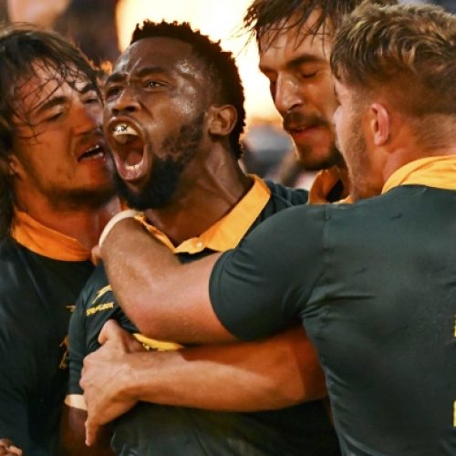 Kolisi makes his mark for Springboks