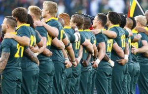 Read more about the article 16 Springbok facts and milestones