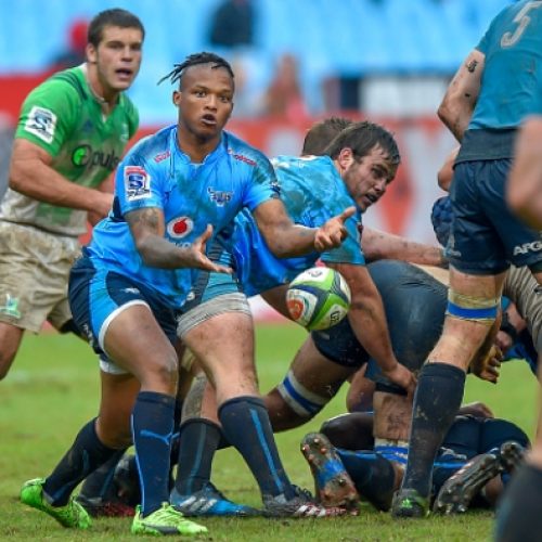 Jantjies at flyhallf for Bulls