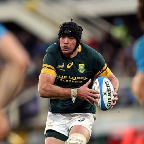 Superbru: Boks to beat France by 5-12