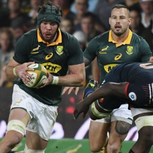 Back-row poser for Lions, Springboks