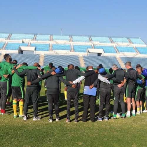 Moon, Motupa guide Bafana past Botswana