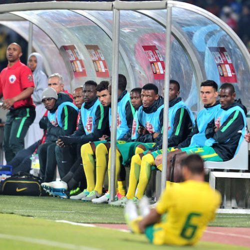Bafana can learn from Germany