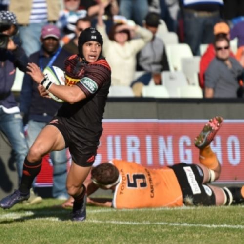 Stormers survive Cheetahs fightback