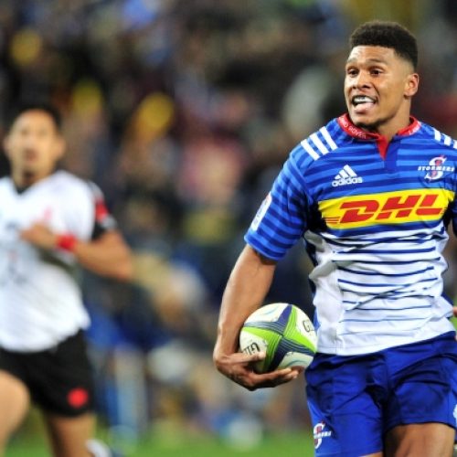 Stormers back young Willemse