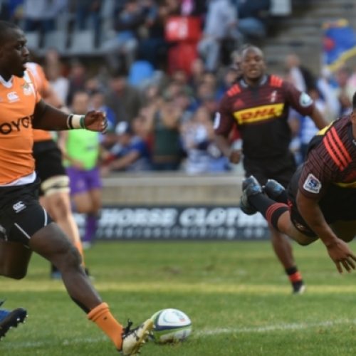 Feeney: Willemse will get even better