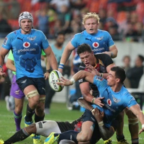 Super Rugby preview (Round 16)