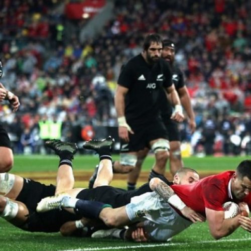 Lions level series in Wellington