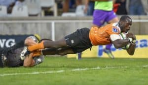 Read more about the article Cheetahs’ comeback sinks spirited Kings
