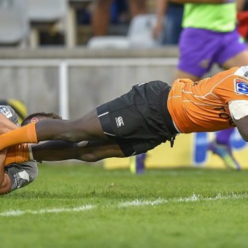 Cheetahs’ comeback sinks spirited Kings