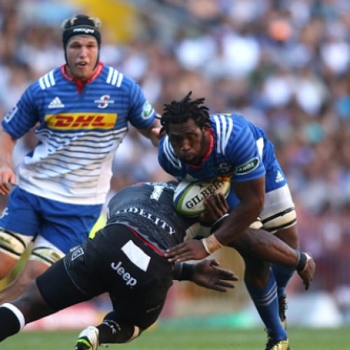 Bok trio extend Stormers stay