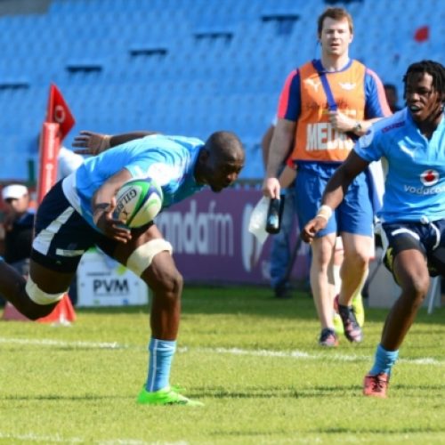 Blue Bulls suffer more injury blows