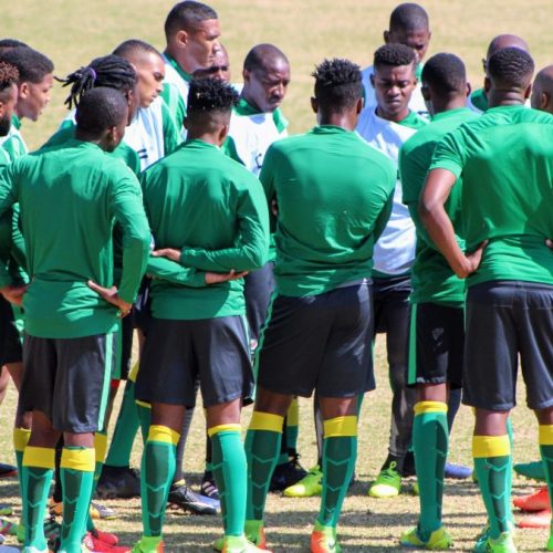 Watch: Bafana prepare for Zambia test
