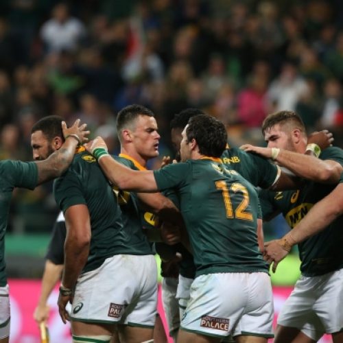 Coetzee: Boks must get even better