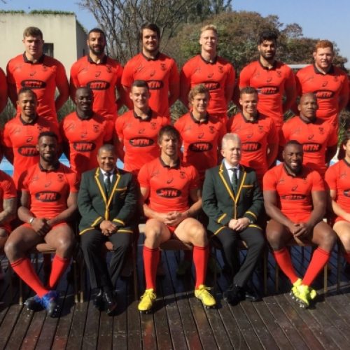10 Springbok stats and facts