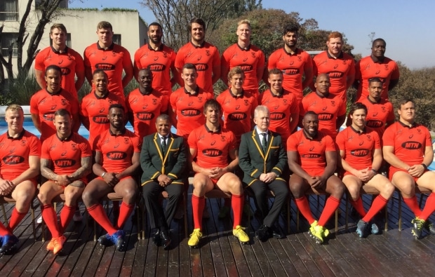 You are currently viewing 10 Springbok stats and facts