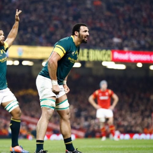 Cassiem to start, Bosch on bench for Springboks