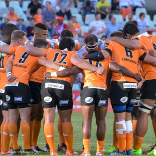 Cheetahs set for Pro14