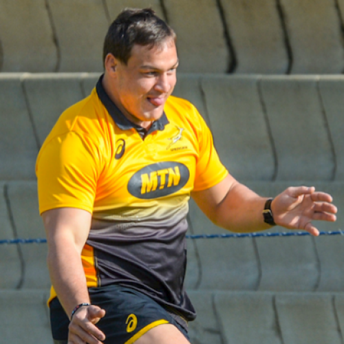 Oosthuizen could face Wallabies