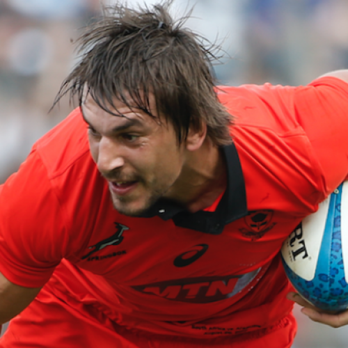 Springboks climb to third in rankings