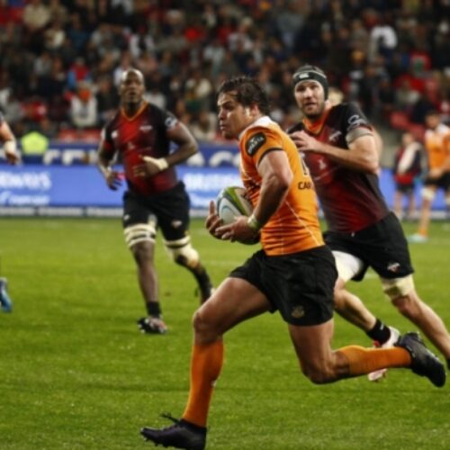 Cheetahs, Kings officially join Pro14