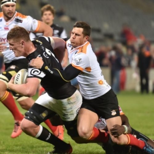 Currie Cup preview (Round 8)