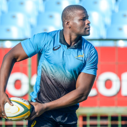Five Springboks released to Currie Cup
