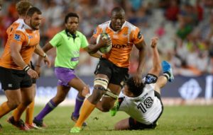 Read more about the article Mohoje staying at the Cheetahs