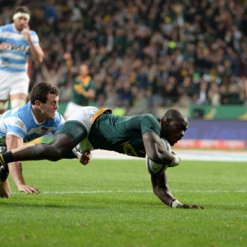 Springboks can Rhule out wide