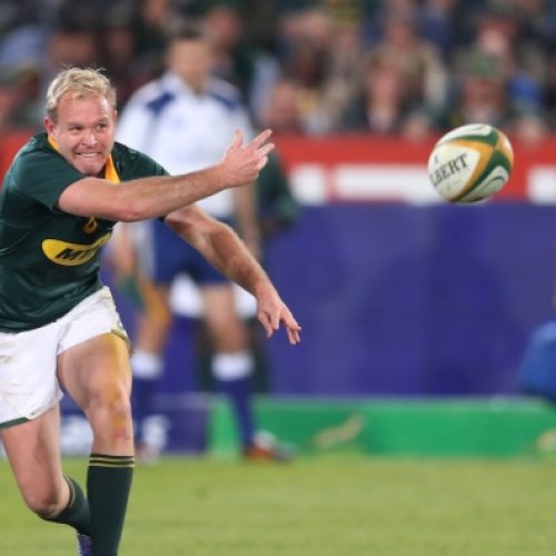Bok scrumhalf sits out training