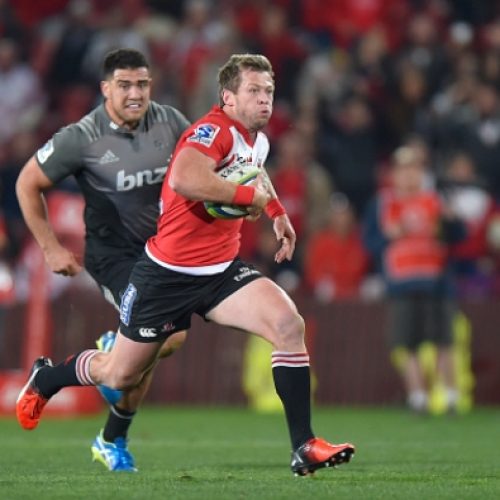 Bet on Lions to be crowned champions