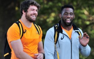 Read more about the article Gold backs Kolisi as skipper