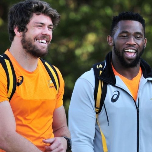 Gold backs Kolisi as skipper