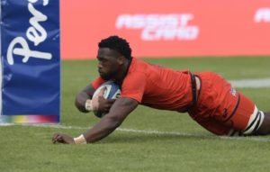 Read more about the article Kolisi double sinks Pumas