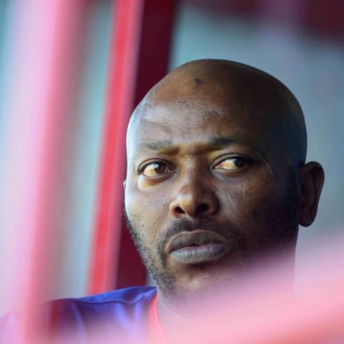 ‘Proteas job is the next step for me’