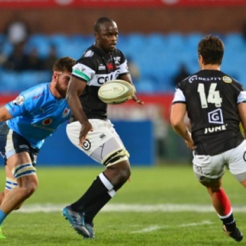 Sharks claim bonus-point win at Loftus