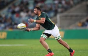 Read more about the article Springboks face back-row dilemma