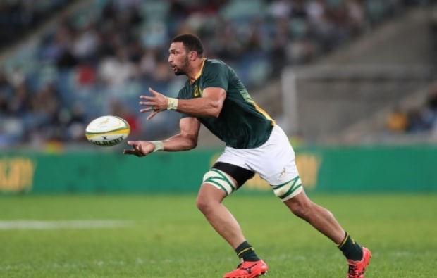 You are currently viewing Springboks face back-row dilemma