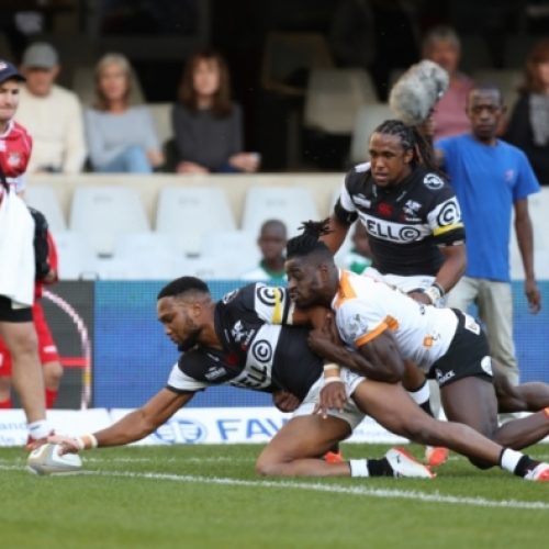 Sharks crush Cheetahs’ second-stringers