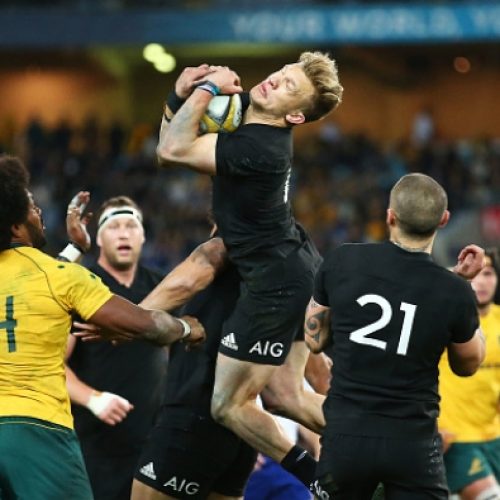 ‘Springboks should kick on All Blacks’ small men’