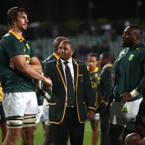 ‘Boks won’t easily topple All Blacks’